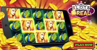 88fb com-এ বেট বিভাগ দেখার দৃশ্য